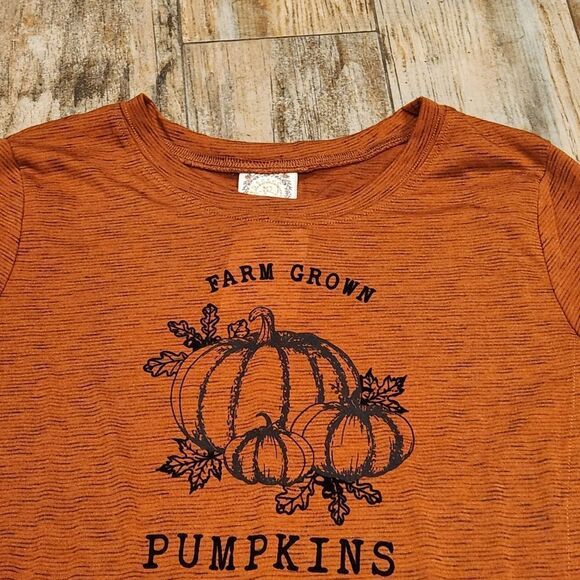 🔸️TruSelf Rust Orange Autumn/Fall Pumpkin 3/4 Sleeve Top Large - Picture 3 of 12